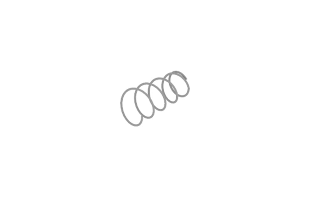 BSM 4 pump spring